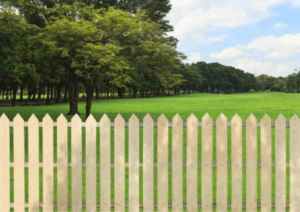 Read more about the article Garden fence buffalo NY: What is the cheapest form of garden fencing?